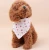 Import New arrival Bandans Beautiful Dog Accessories from China