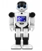 Newest Arrival robot Intelligent Balance APP control Programmable AI robot