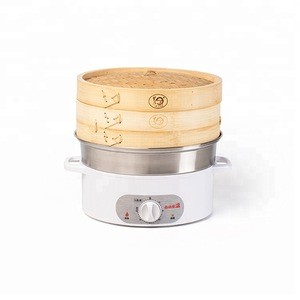 Ney Style Electric Food Steamer with Bamboo Steamer Pot