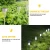 Import No Wiring Required Abs+Stainless Steel Ip44 Waterproof Solar Landscape Light,10pcs Decorative Outdoor LED Solar Lawn Lights from China