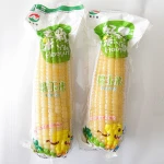 Non-GMO Fresh White Corn
