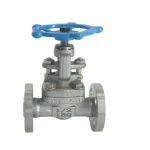 OEM ODM Manual Stainless steel globe Valve WCB CF8 Material Steam Oil Water 1-20 