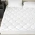 Import OEM service fabric quilted bed bug mattress cover from China