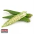 Import Okra Extract Lady Style Finger Weight Origin Type Size Fresh Place Model Apeda Maturity from Pakistan