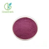 OPC Proanthocyanidin procyanidin 95% Grape Seed Extract For Antioxidation And Anti-aging Skin Care
