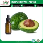 Organic Avocado Seed Carrier Oil