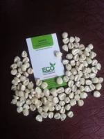 ORGANIC WHITE MAIZE / Corn