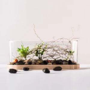 Oval Shape Aquariums Mini Soda-lime Glass Flower Vase Fish Tank Home Decoration
