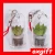 Import OXGIFT Made in China  wholesale Manufacture Portable gardening Mini plant Baby tree from China