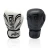 Import PeakPower Fitness Punching Training Boxing Gloves from China