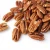 Import Pecan Nut, Roasted Salted Pecans/Raw Pecan Nuts With Shell from Germany