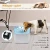 Import Pet Fountain Cat drinking Water Dispenser Healthy  Drinking Fountain Automatic Electric Water Bowl Dogs Cat Birds Small Animals from China