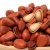 Import pine nut with shell high quality pine nut Pine nut prices from China