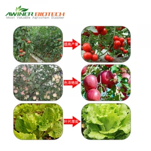 Plant growth regulator agriculture Best price Gibberellic acid 10%tablet