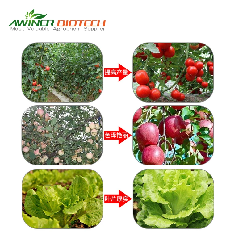 Plant growth regulator agriculture Best price Gibberellic acid 10%tablet
