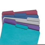 Plastic Expandable Colorful Manilla Decorative Labeling File Folders Games
