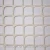 Import Plastic Garden Mesh( HDPE square and diamond net) from China