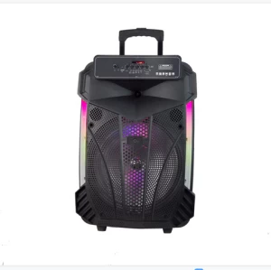 PORTABLE SPEAKER WITH TROLLEY AND BATTERY FOR OUTDOOR PARTY SPEAKER WIRELESS SPEAKER