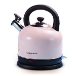 Portable stainless steel electric kettle electric water kettle