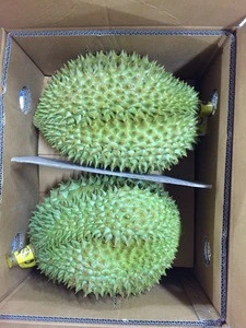 Premium Grade Durian Thailand Fresh Manufacturer from Thailand