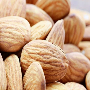 Premium Quality Almond Nuts / California Almond Nuts