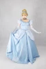 Princess Cinderella  Dress Sleeping Beauty   Adult Women  cosplay  Costume Set (Dress Set) P1901