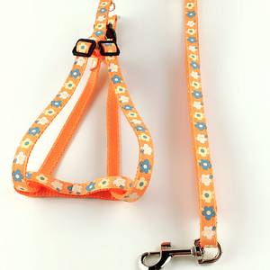Puppy Collar and Leash in Stock