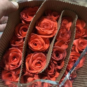 Pure Export Fresh Cut Flowers Roses Wholesale From China
