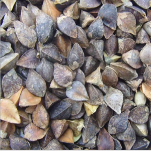 Qiao mai Dried Style Certified Organic Roasted Buckwheat
