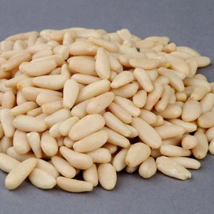 Quality Blanched Pine Nuts. / Cheap Pine Nuts Prices/Chinese Pine nut Kernels For Sale
