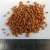 Import Quality Camelina Seeds from Germany
