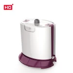 QZ68-J 220V Professional High Pressure Automatic Garment steamer/ Vertical garment steamer