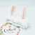 Import Rabbit ears hair band ladies face wash yoga elastic elastic headband hair accessories from China