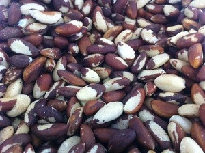 Raw brazil nuts
