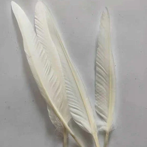 Raw Material White Washed Duck Feather