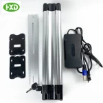 Rechargeable 48v Ebike Lithium Ion 18650 Battery Pack Portable Electric Bicycle With Battery