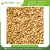 Import Roasted Sesame Seed Top Best Selling Superior Quality Oil Seeds Indian Manufacturer &amp; Global Supplier from India