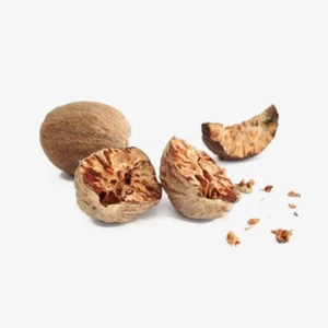 Rou Dou Kou Natural Spices Dried Nutmeg/Myristicae Semen