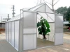 sale small mini aluminum PE garden greenhouse with double door window for growing
