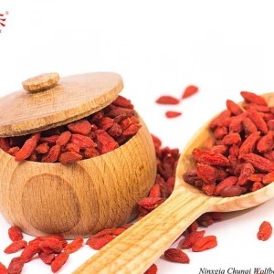 sample free goji berry organic certified new arrival fresh dried fruit from China