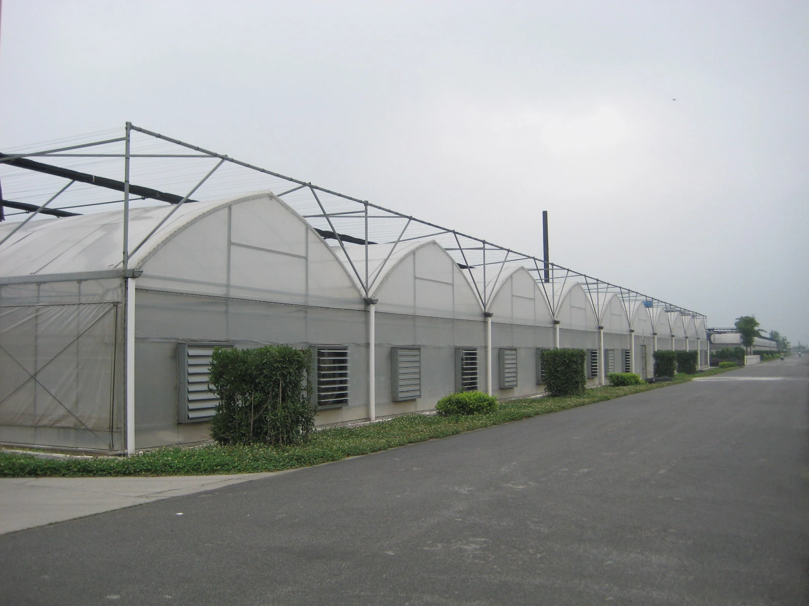Skyplant Agricultural commercial plastic film tunnel greenhouse