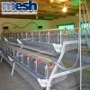 South Africa Best Price Automatic Layer Chicken Cage For Sale