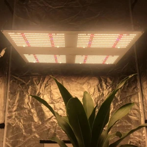 Spider 3000k 4000k Samsung lm301b UV monster Board Led Grow Light for Indoor Garden