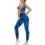 Import Sport Women Seamless Fitness Sport Wear High Elastic Women Yoga Set Top Quality Seamless Women Yoga Set from China