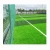Import Sports playground gym flooring 50mm artificial turf grass football from China