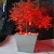 Import Stainless steel flowerpot planter with led light from China