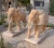 Import Stone Elephant Sculpture, Animal Carving from China