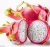 Import Super and Adorable Red and White Dragon fruit (white flesh) From South Africa from Austria