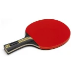 Table Tennis School Set with racket & balls for beginner training and recreational use