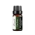 Import Tea Tree Essential Oil from China